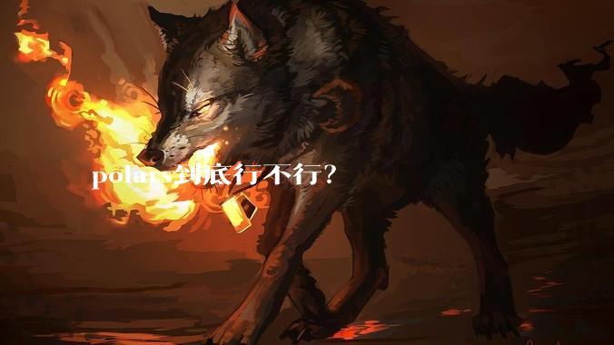 polars到底行不行？